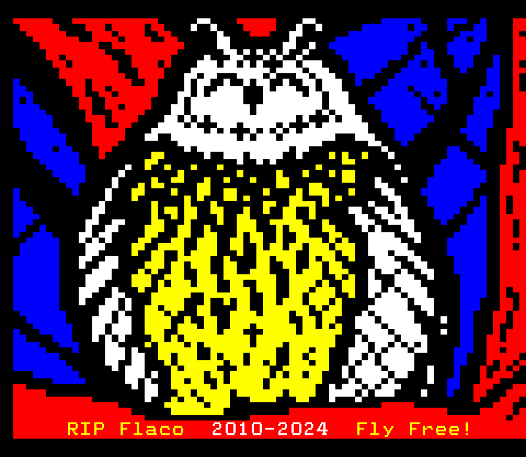 Dan Farrimond - Flaco the Eagle Owl (2) 2024